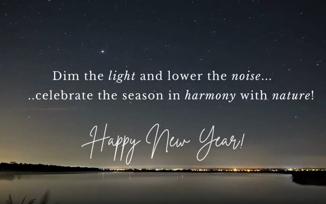 AquaPLAN season's greetings